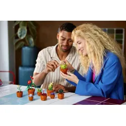 LEGO Botanicals 10329 Miniaturpflanzen