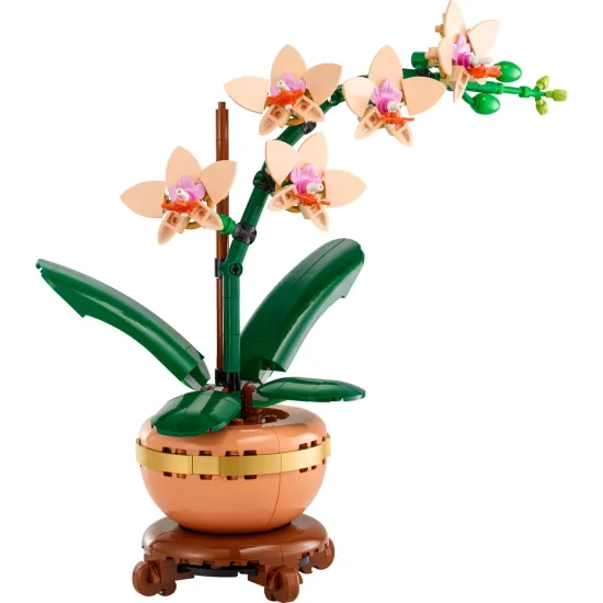 LEGO Botanicals Miniatur-Orchidee im Topf mit goldenen Details