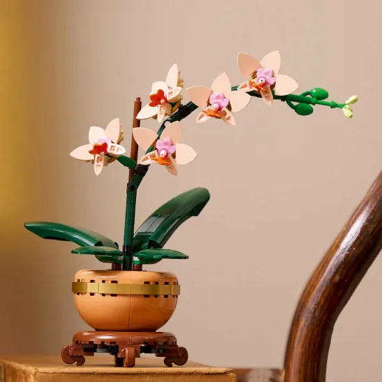 LEGO Botanicals Miniatur-Orchidee im Topf mit goldenen Details