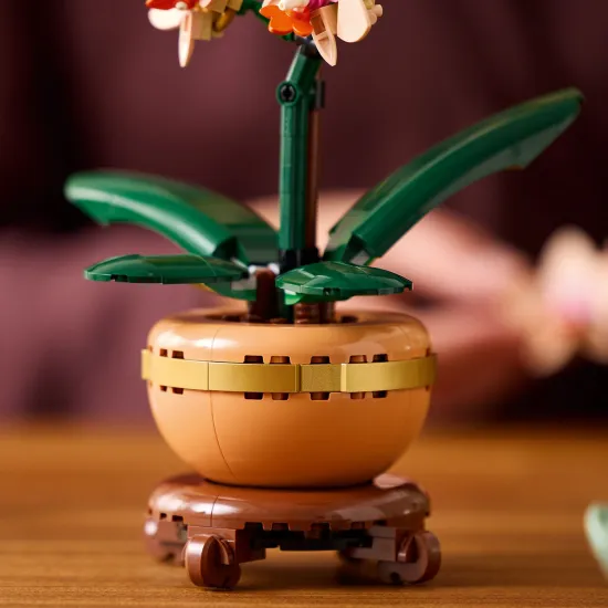 LEGO Botanicals Miniatur-Orchidee im Topf mit goldenen Details