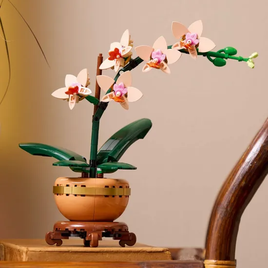 LEGO Botanicals Miniatur-Orchidee im Topf mit goldenen Details