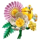 LEGO Botanicals 10347 Kleiner Sonnenstrauß