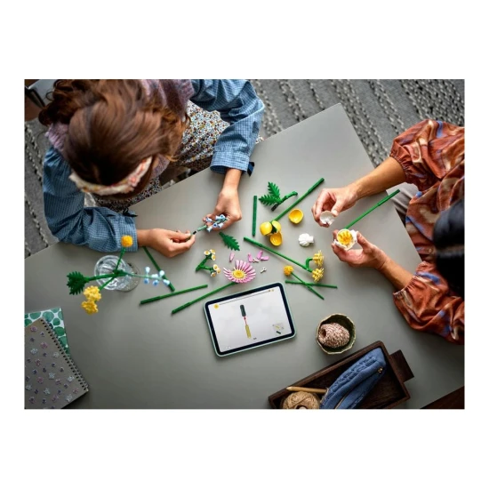 LEGO Botanicals 10347 Kleiner Sonnenstrauß