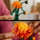 LEGO Botanicals 10368 Chrysantheme LEGO Botanicals 10368 Chrysantheme