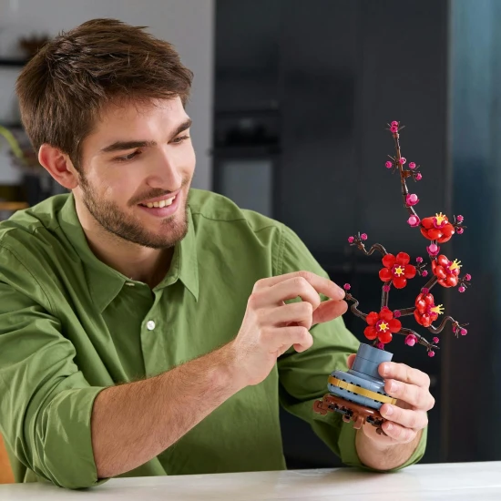 LEGO Botanicals 10369 Japanische Aprikosenblüte LEGO Botanicals 10369 Japanische Aprikosenblüte