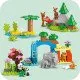 LEGO DUPLO Wildtierfamilien-Lernset für Kinder, Tierfiguren, Elefant, Panda, Tiger, Schildkröte, Hirsch, kreatives Spielen für Kinder