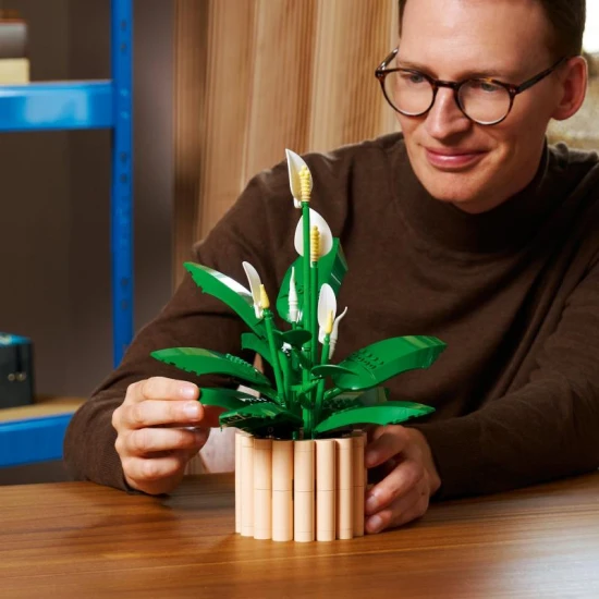 LEGO Botanicals 11504 Einblatt