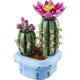 LEGO Botanicals 11509 Blühender Kaktus LEGO Botanicals 11509 Blühender Kaktus