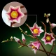 LEGO Creator 11510 Magnolienzweige