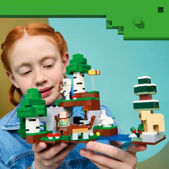 LEGO Minecraft 21593 Erstes Nacht-Abenteuer LEGO Minecraft 21593 Erstes Nacht-Abenteuer