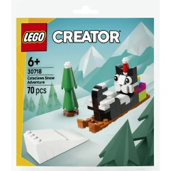 LEGO DUPLO 30718 Schneeabenteuer mit Katze Schneeflocke