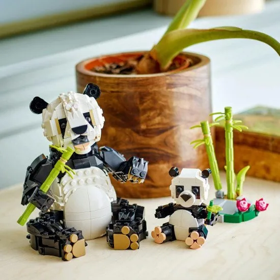 LEGO CREATOR Wilde Tiere: Pandafamilie – ein Panda mit Jungem im Dschungel und verschiedene umbaubare Tiermodelle.