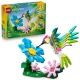 LEGO CREATOR 31384 Wilde Tiere: Bunter Kolibri