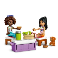 LEGO Friends 42659 Autoausflug mit Freunden