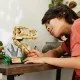 LEGO® Jurassic World T-Rex-Schädel- und Fossilien-Spielset für Kinder, mit einem Ständer mit Informationsschild, aufklappbarem Maul und verstecktem „Bernstein“-Stück.