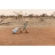 Little Dutch Kinderkoffer mit Rollen Safari Friends