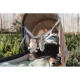 Little Dutch Kette für Kinderwagen Häschen Miffy Lucky Leaves Little Dutch Kette für Kinderwagen Häschen Miffy Lucky Leaves