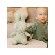 Little Dutch Miffy Hase Green Flower 20 cm Little Dutch Miffy Hase Green Flower 20 cm