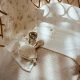 Little Dutch Strickdecke 70x100 cm Pure Soft Beige