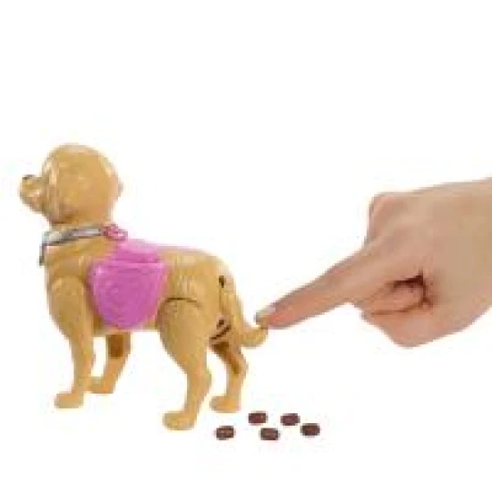 Barbie Puppe mit Hündchen beim Spaziergang Barbie Puppe mit Hündchen beim Spaziergang