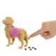Barbie Puppe mit Hündchen beim Spaziergang Barbie Puppe mit Hündchen beim Spaziergang