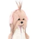 Lucky Doggy Plüsch Hündin Yorkshire - Yoyo Pink Dream