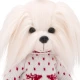 Lucky Doggy Plüschhund Malteser Hündin – Mimi Scandinavian Motif