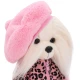 Lucky Doggy Hundebekleidungsset Mon Amour Orange Toys