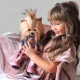 Lucky Doggy Plüschhund Yorkshire Terrier – Yoyo Urban Style