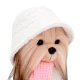 Lucky Doggy Plüschhund Yorkshire Terrier – Yoyo Fashion Winter Lucky Doggy Plüschhund Yorkshire Terrier - Yoyo Fashion Winter Orange Toys