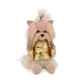 Lucky Doggy Plüschhund Yorkshire Terrier – Yoyo Golden Jacket