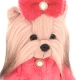 Lucky Doggy Plüschhund Yorkshire Terrier – Yoyo Fashion Week