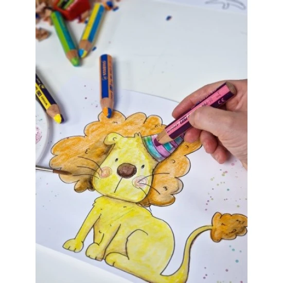 Die Multifunktionsmalstifte überzeugen durch ihre zweifarbige Ausführung. Mit den Malstiften können Sie auf unterschiedlichen Oberflächen zeichnen.