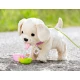 BABY born Mein lustiger Hund BABY born Mein lustiger Hund Zapf Creation 12835197