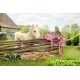BABY born Mein laufendes Pferd BABY born Mein laufendes Pferd Zapf Creation 12835203