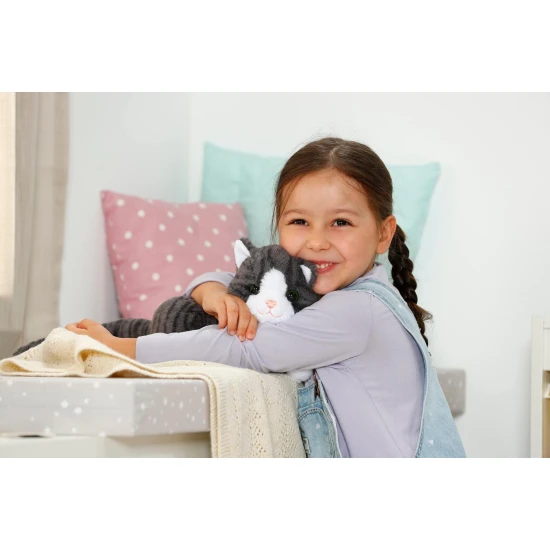 BABY born Katze Cookie mit Transportbox Zapf Creation 12837580
