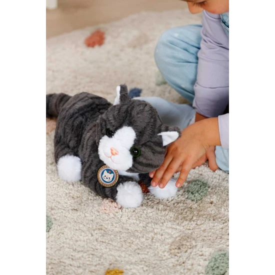 BABY born Katze Cookie mit Transportbox Zapf Creation 12837580