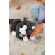 BABY born Katze Cookie mit Transportbox Zapf Creation 12837580