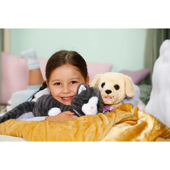 BABY born Katze Cookie mit Transportbox Zapf Creation 12837580