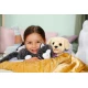 BABY born Katze Cookie mit Transportbox Zapf Creation 12837580