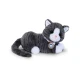 BABY born Katze Cookie mit Transportbox Zapf Creation 12837580