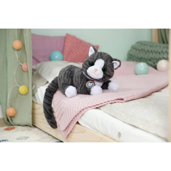 BABY born Katze Cookie mit Transportbox Zapf Creation 12837580
