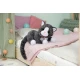 BABY born Katze Cookie mit Transportbox Zapf Creation 12837580