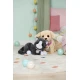 BABY born Katze Cookie mit Transportbox Zapf Creation 12837580