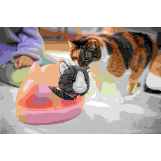 BABY born Katze Cookie mit Transportbox Zapf Creation 12837580