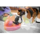 BABY born Katze Cookie mit Transportbox Zapf Creation 12837580
