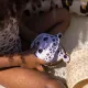 Wasserspielzeug zum Tauchen Leopard 3-teilig Swim Essentials