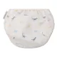 Bademode für Babys mit LSF 50+ Dino Swim Essentials