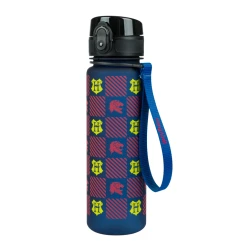 Tritanflasche für Kinder Harry Potter Hogwarts 500 ml