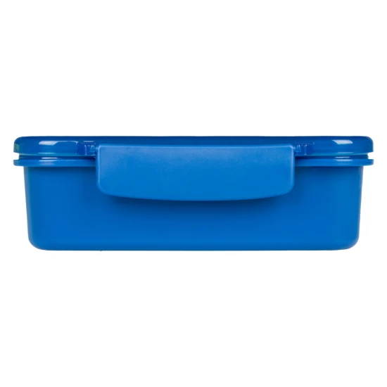 Brotdose mit Trennwänden Dino